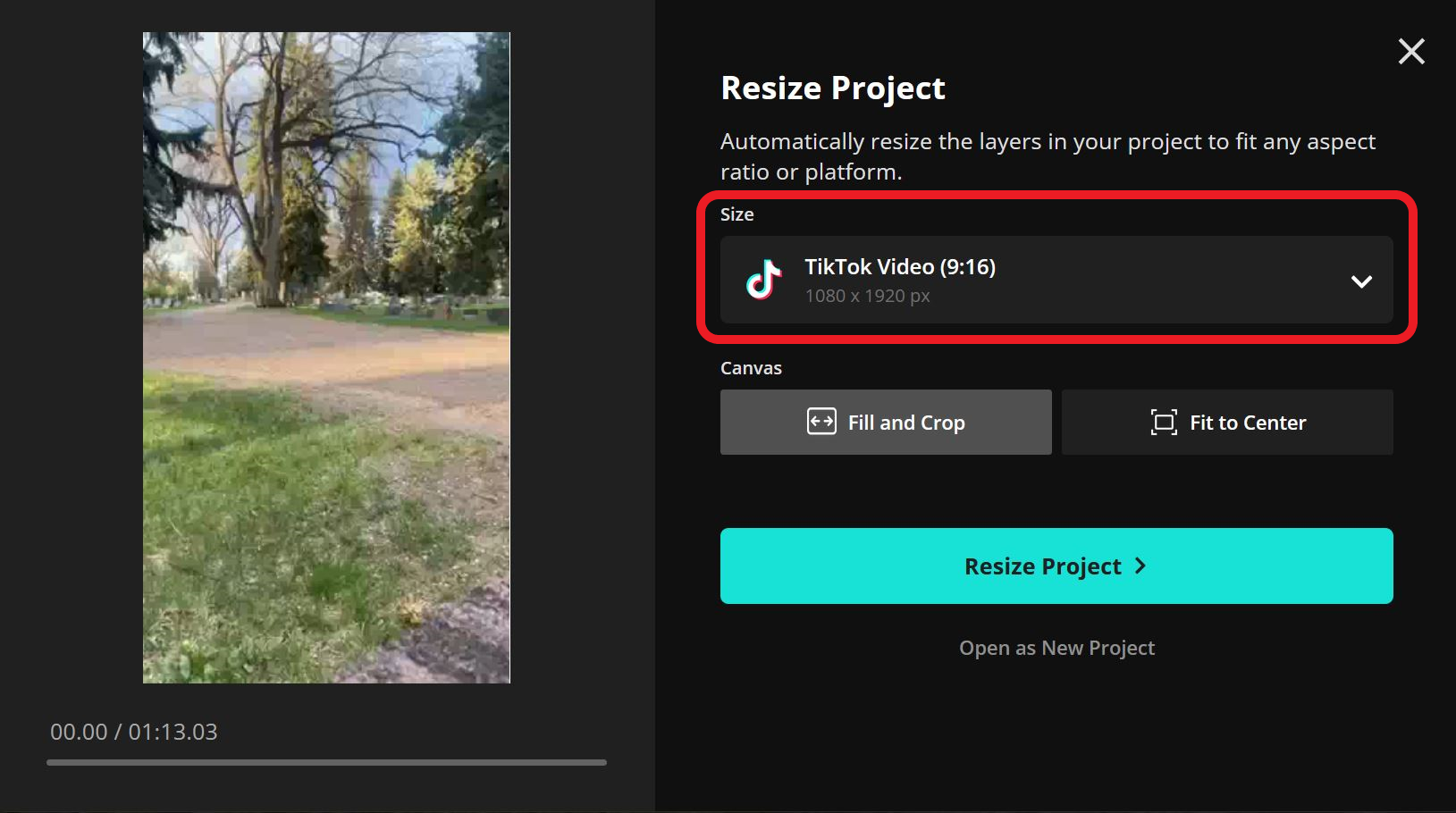 Resize guide for Almost Forgot This is the whole point videos.